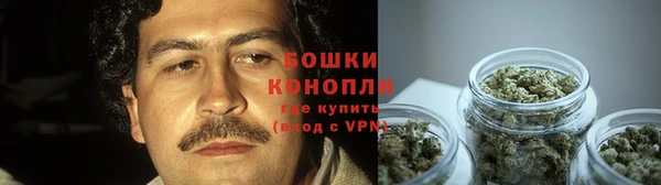 наркотики Белокуриха