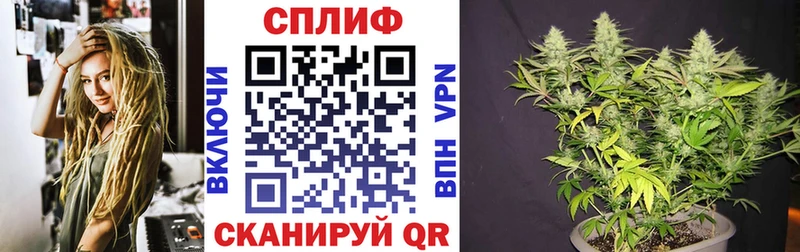 Конопля Amnesia  купить наркоту  мега tor  Горнозаводск 